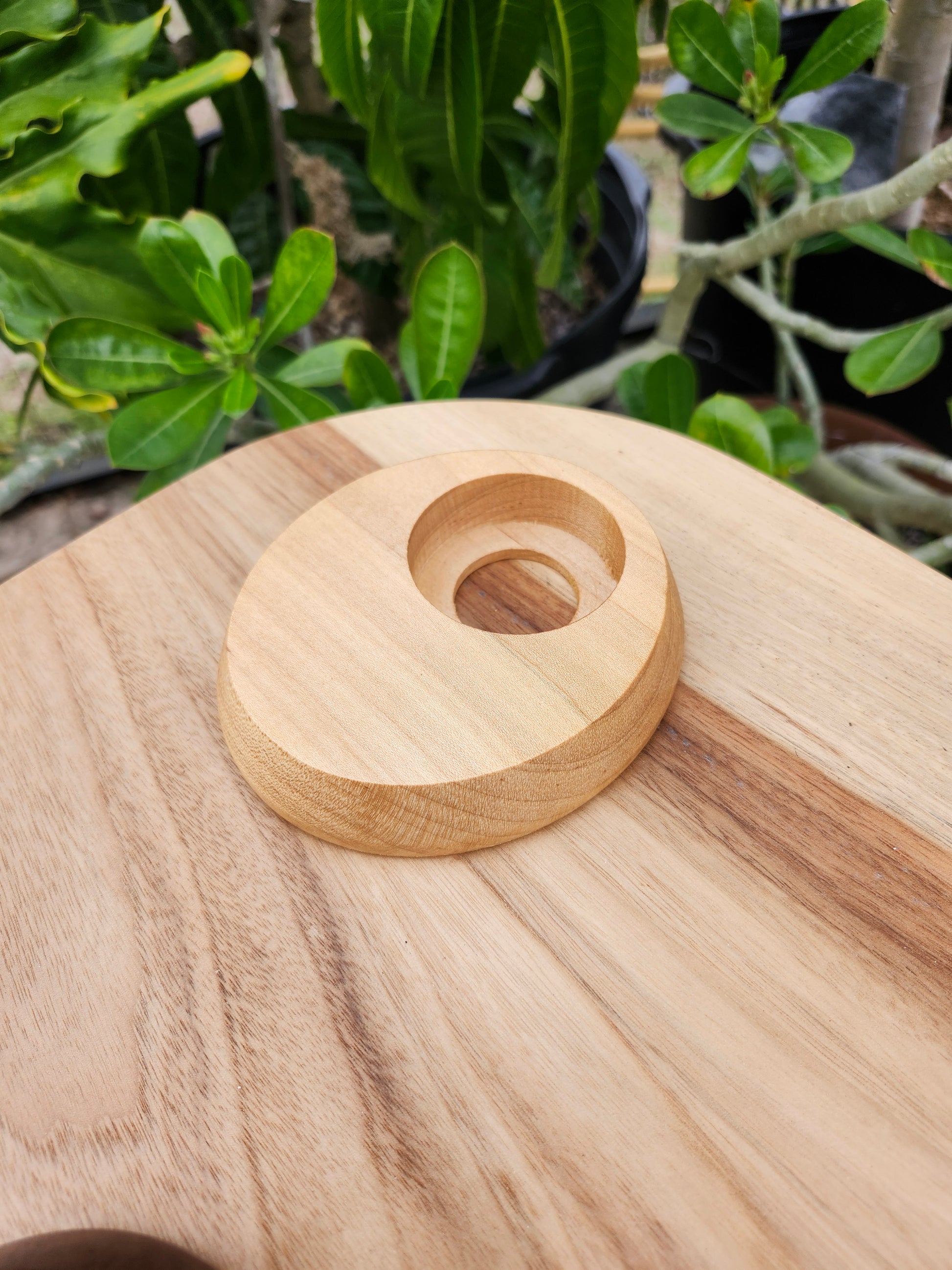 Maple