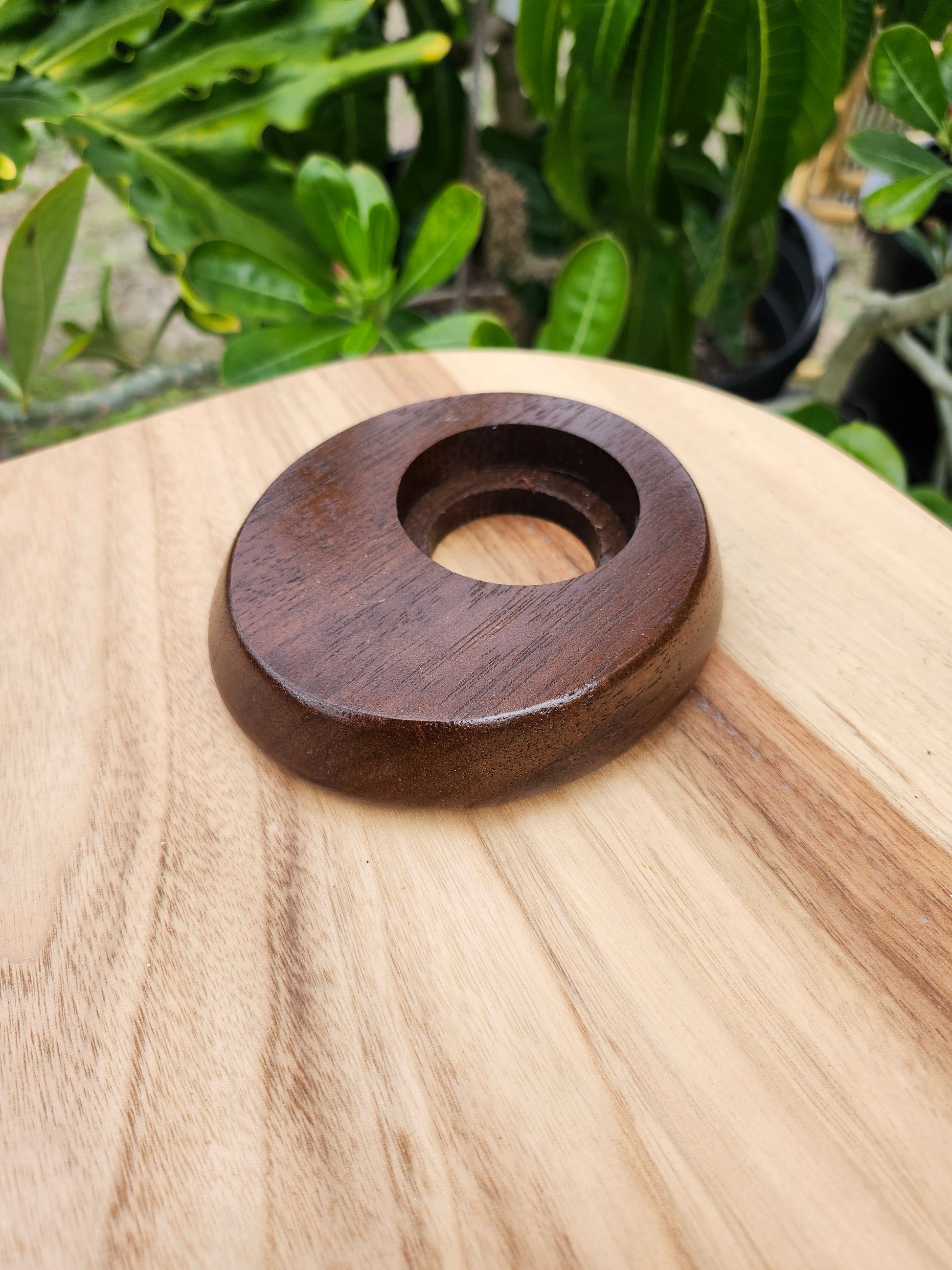 Peruvian Walnut 