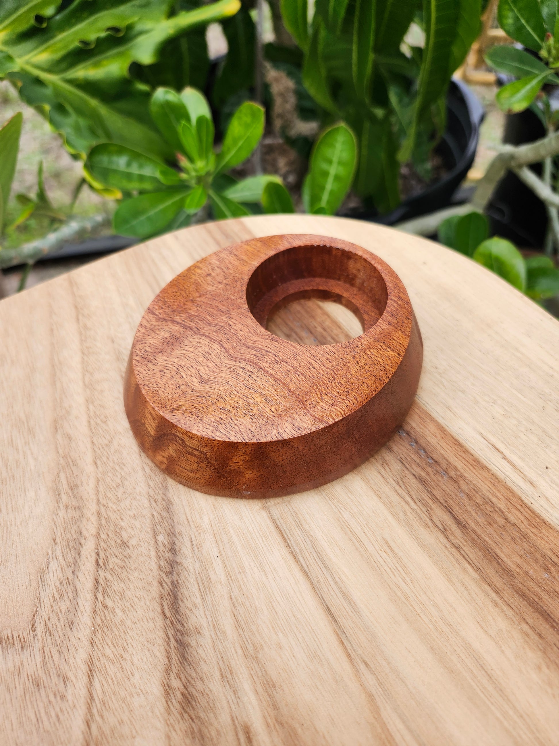 Sapele