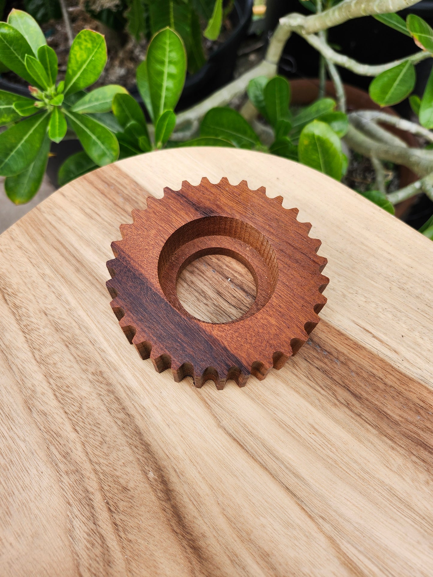 Gear Torch Base